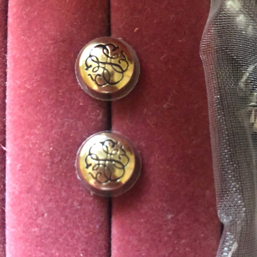 Alex and ani earrings